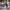https://res.cloudinary.com/billionhands/image/upload/v1779428191/items/y020lqfewje3ssjcsdvv.jpg-1cover