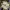 https://res.cloudinary.com/billionhands/image/upload/v1779429348/items/dpak57wum0vnju6kqlwz.jpg-3cover