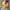 https://res.cloudinary.com/billionhands/image/upload/v1779430067/items/ymkivb9mxi8ihhz1bkwn.jpg-2cover