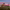 Robert Renzoni Vineyards cover