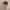 https://res.cloudinary.com/billionhands/image/upload/v1779431227/items/cvunlwgkayzutc1aoshs.webp-2cover