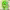 https://res.cloudinary.com/billionhands/image/upload/v1779433633/items/ltdrxvbyw6sjmchgrsuz.webp-0cover