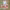 https://res.cloudinary.com/billionhands/image/upload/v1779434496/items/ccegnsyxgpicoqr4qstd.jpg-1cover