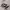 https://res.cloudinary.com/billionhands/image/upload/v1779438014/items/qt6uzalpfss5g6r5dnrl.webp-1cover