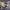 https://res.cloudinary.com/billionhands/image/upload/v1779438254/items/iznypfwgjpxan4demfek.jpg-0cover