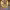 https://res.cloudinary.com/billionhands/image/upload/v1779438260/items/ctc2bpezxakhhbhfoskq.jpg-2cover