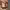 https://res.cloudinary.com/billionhands/image/upload/v1779438261/items/hd27kp9uoyma0wxbmtpv.jpg-1cover