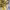 https://res.cloudinary.com/billionhands/image/upload/v1779438265/items/vjgtmfub7rmogtvscuvm.jpg-2cover