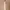 https://res.cloudinary.com/billionhands/image/upload/v1779442247/items/o6pvptwlzd0dxm8a15ih.webp-3cover