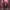 https://res.cloudinary.com/billionhands/image/upload/v1779442938/items/mo56uocl0mcuglrviugf.webp-1cover