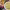 https://res.cloudinary.com/billionhands/image/upload/v1779444693/items/yve68wcgkhzrzluwo7cw.jpg-2cover