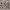 https://res.cloudinary.com/billionhands/image/upload/v1779445355/items/p2nkw8tdztixnvafijf1.jpg-3cover