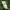 https://res.cloudinary.com/billionhands/image/upload/v1779445529/items/bobrxszqhmaae2bd5rht.jpg-1cover