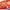 https://res.cloudinary.com/billionhands/image/upload/v1779447953/items/zclae3hugbtd8jvs2w1y.webp-2cover