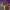 https://res.cloudinary.com/billionhands/image/upload/v1779448507/items/wnssajyiegs8dyjyp5yh.jpg-2cover