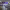 https://res.cloudinary.com/billionhands/image/upload/v1779448587/items/kqca1iaj3o2xdmp3qqmn.jpg-2cover