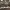 https://res.cloudinary.com/billionhands/image/upload/v1779452545/items/zfzucxq5mhrsvofpy31l.jpg-3cover