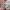 https://res.cloudinary.com/billionhands/image/upload/v1779460464/items/nkraoqlanqyfjqxktipb.webp-2cover