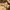 https://res.cloudinary.com/billionhands/image/upload/v1779464489/items/glkd43os5yrygqkuvlye.jpg-3cover