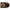 https://res.cloudinary.com/billionhands/image/upload/v1779477983/items/hxtaa2cfnwmjbfkuhk8i.webp-2cover