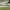 https://res.cloudinary.com/billionhands/image/upload/v1779485276/items/bw2tjr6zi8vvrxqyapmm.webp-2cover