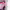 https://res.cloudinary.com/billionhands/image/upload/v1779488848/items/ctvcm5bxchop80hl5bbz.png-1cover