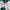 https://res.cloudinary.com/billionhands/image/upload/v1779496192/items/kvxmllah7pfqjgpuhbsx.jpg-2cover