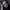 https://res.cloudinary.com/billionhands/image/upload/v1779501236/items/ycre00kcmpsdpeliowvq.jpg-3cover