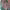 https://res.cloudinary.com/billionhands/image/upload/v1779501237/items/suwehqcbtvfidzxjkk48.jpg-1cover