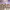 https://res.cloudinary.com/billionhands/image/upload/v1779506941/items/dygy5oxveu2tknp6xlvr.jpg-2cover