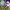 https://res.cloudinary.com/billionhands/image/upload/v1779508844/items/qd2fzk0lzodlkueinixj.jpg-2cover