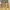 https://res.cloudinary.com/billionhands/image/upload/v1779508850/items/xfswijob0x52vpjmuwmc.webp-2cover
