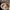 https://res.cloudinary.com/billionhands/image/upload/v1779511512/items/mw35trhfdakqom4eaqox.jpg-1cover