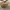 https://res.cloudinary.com/billionhands/image/upload/v1779511517/items/cealqb1nlahkouga0859.jpg-3cover