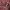 https://res.cloudinary.com/billionhands/image/upload/v1779512098/items/xud5bhsxccwdb6and68c.jpg-1cover