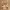 https://res.cloudinary.com/billionhands/image/upload/v1779512670/items/wb8hfoqdugrfws3j0zbv.webp-1cover