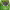 https://res.cloudinary.com/billionhands/image/upload/v1779521954/items/fttyk0nyx10ekttwoz9n.jpg-0cover