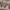 https://res.cloudinary.com/billionhands/image/upload/v1779526538/items/nhnlbytk1dwfqcoutkj5.jpg-3cover