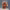 https://res.cloudinary.com/billionhands/image/upload/v1779528807/items/gel6rxhqte8bhkzxkvni.jpg-0cover