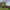 https://res.cloudinary.com/billionhands/image/upload/v1779534075/items/nwob588pxhn3mk2ykvgj.jpg-2cover