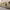 https://res.cloudinary.com/billionhands/image/upload/v1779535121/items/ttq4np2bmgf8cvoij2ea.webp-2cover