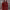 https://res.cloudinary.com/billionhands/image/upload/v1779538959/items/bvp8pqrcnwd8ksbfdyvt.jpg-3cover