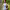 https://res.cloudinary.com/billionhands/image/upload/v1779538964/items/on2vudapwqyqbkce3s5v.jpg-0cover