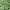 https://res.cloudinary.com/billionhands/image/upload/v1779539731/items/duflylatxmi06r3r1awg.jpg-3cover