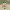 https://res.cloudinary.com/billionhands/image/upload/v1779543009/items/pkweeig27clbkjggmwam.webp-3cover
