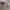 https://res.cloudinary.com/billionhands/image/upload/v1779546182/items/abkxv4o5nf90bxfl8xs4.jpg-2cover