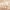 https://res.cloudinary.com/billionhands/image/upload/v1779546310/items/yg5c9ul04ftqo33npq8t.avif-0cover