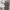 https://res.cloudinary.com/billionhands/image/upload/v1779547183/items/azvsbsiayi0bxdmwjpz8.jpg-3cover