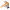 https://res.cloudinary.com/billionhands/image/upload/v1779549427/items/ylrgaevgydchrrqjof7w.png-2cover