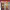 https://res.cloudinary.com/billionhands/image/upload/v1779549434/items/jzumzdryy6wvrvbkmqnj.webp-2cover